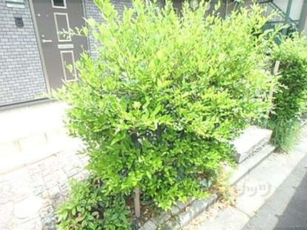 植栽