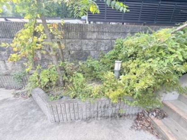 植栽