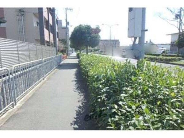 周辺道路