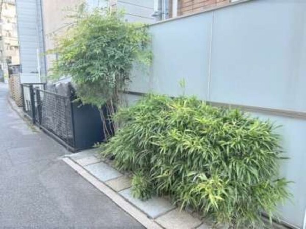 植栽