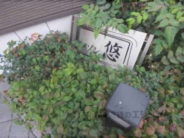 植栽
