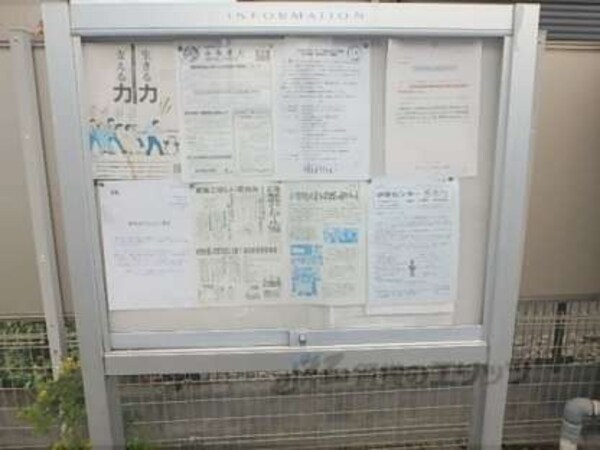 掲示板