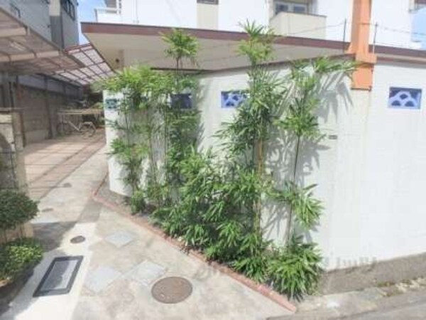 植栽