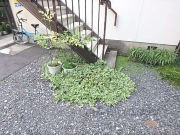 植栽