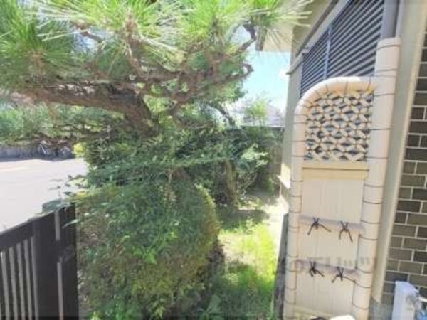 植栽