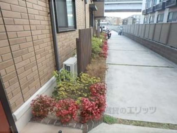 植栽