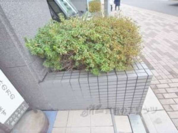 植栽