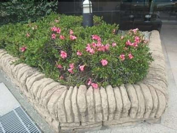 植栽