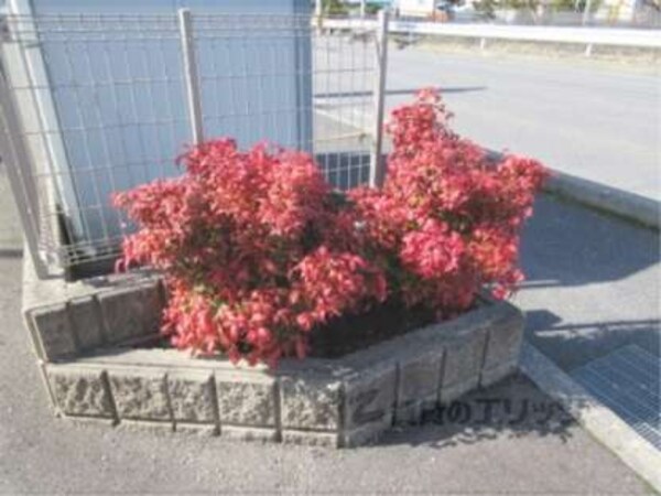 植栽