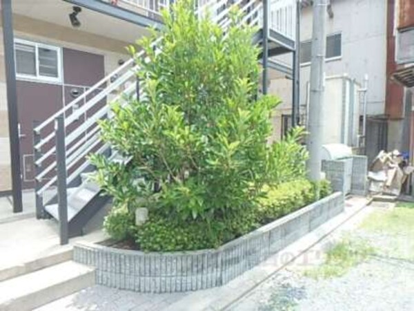 植栽