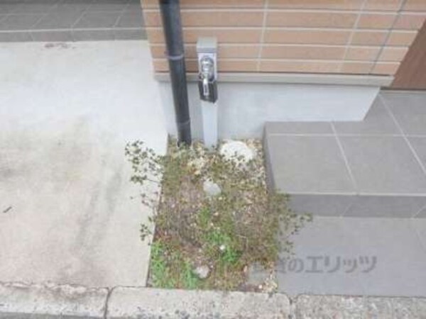 植栽
