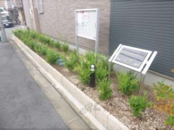 植栽