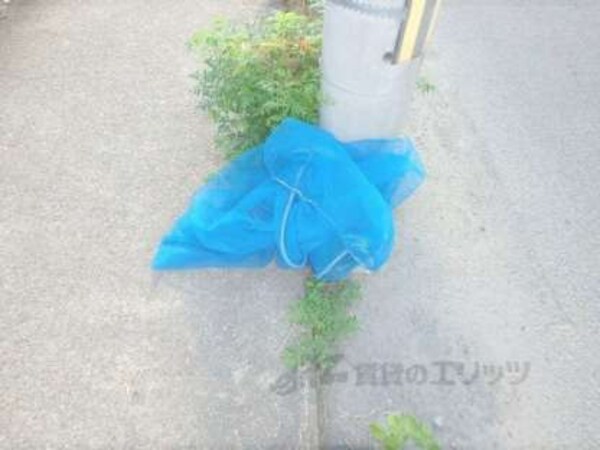 ゴミ収集場所