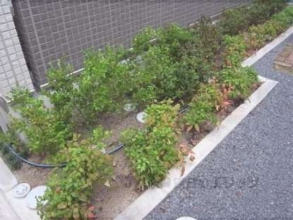 植栽
