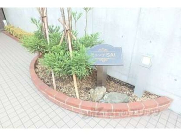 植栽