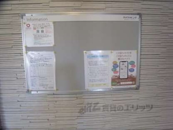 掲示板