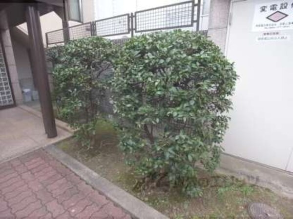 植栽