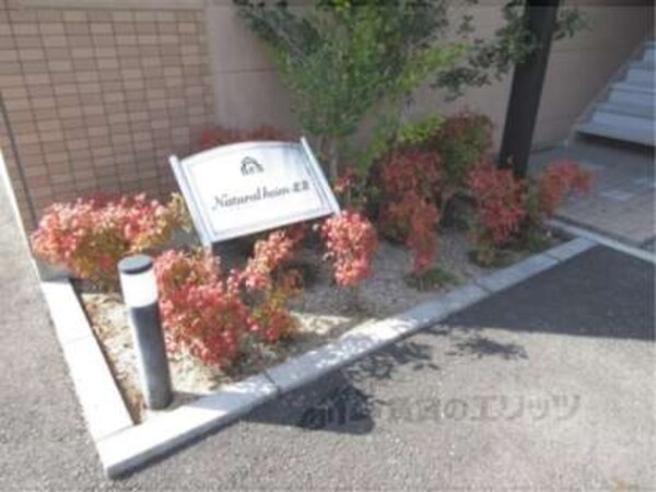 植栽