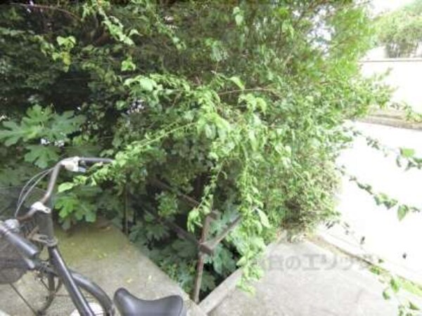 植栽