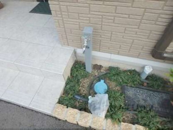 蛇口