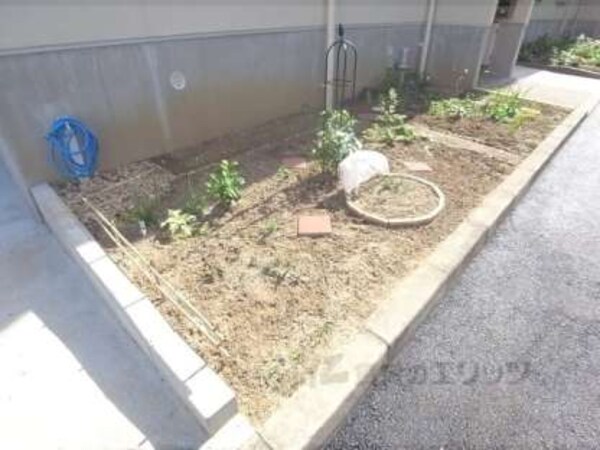 植栽