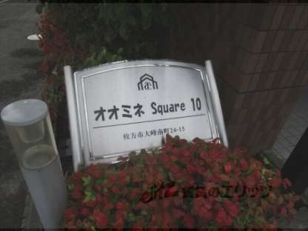 植栽