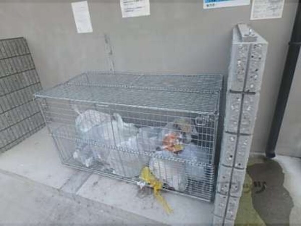 ゴミ置き場