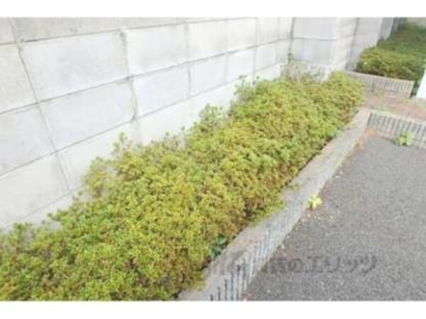植栽