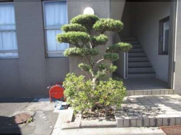植栽