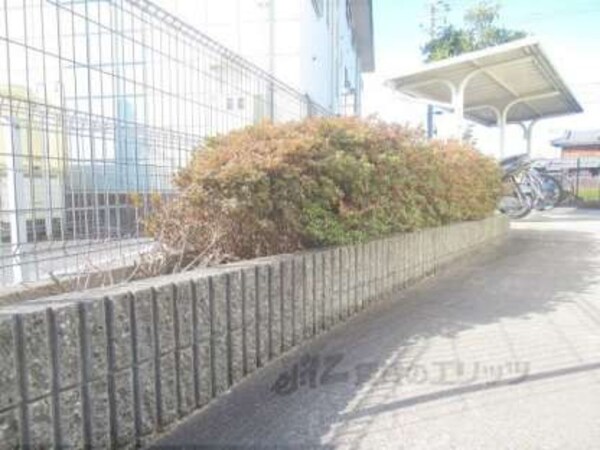 植栽