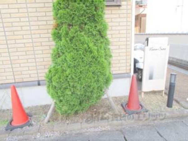 植栽
