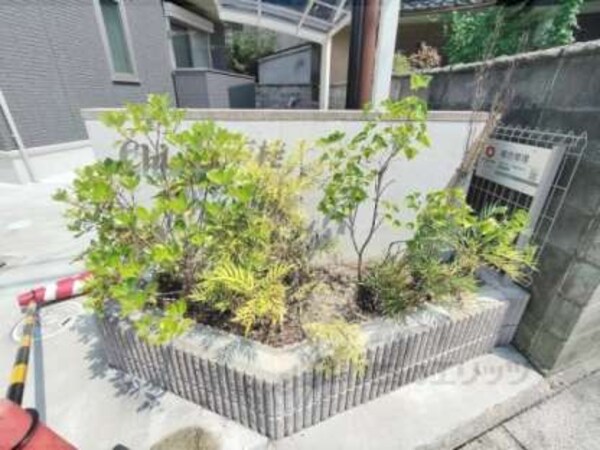 植栽