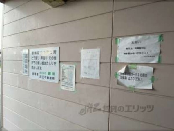 掲示