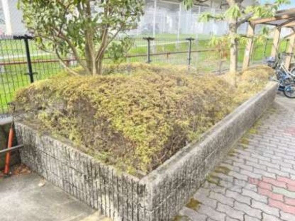 植栽