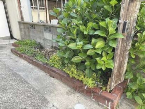植栽