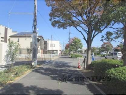 Ｆｏｒｅｓｔ　Ｃｈｅｒｉｅの前面道路