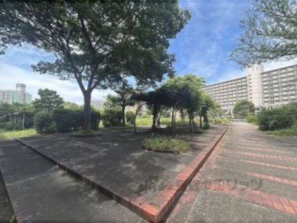 庭