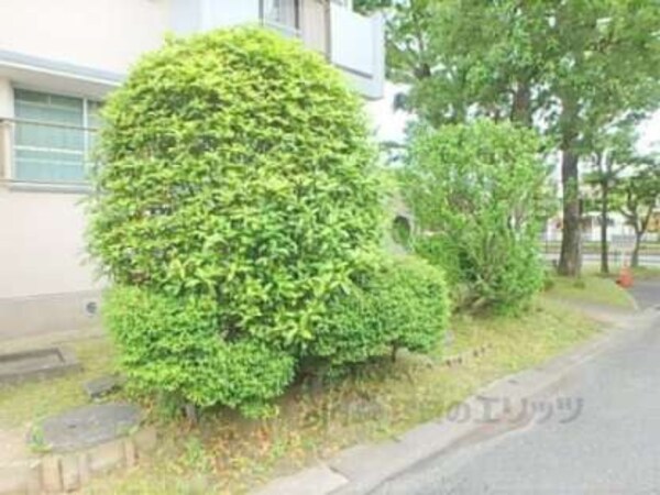 植栽