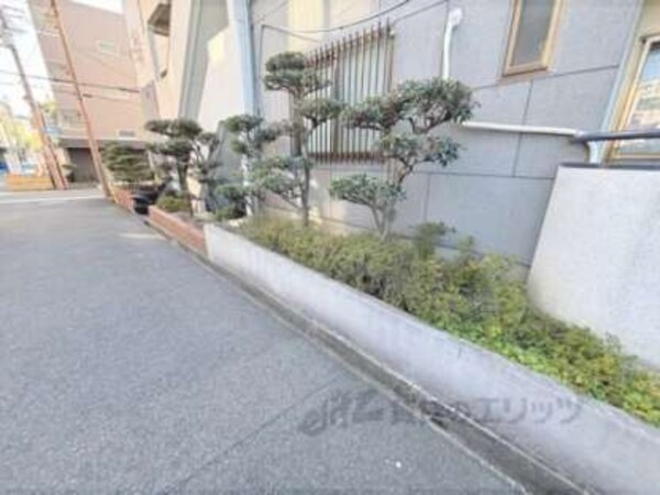 植栽