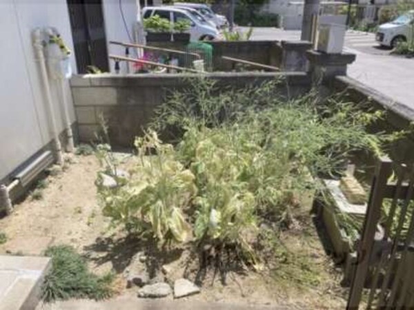 植栽