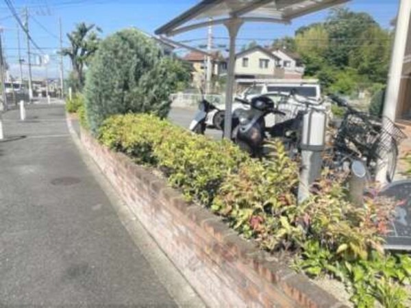 植栽