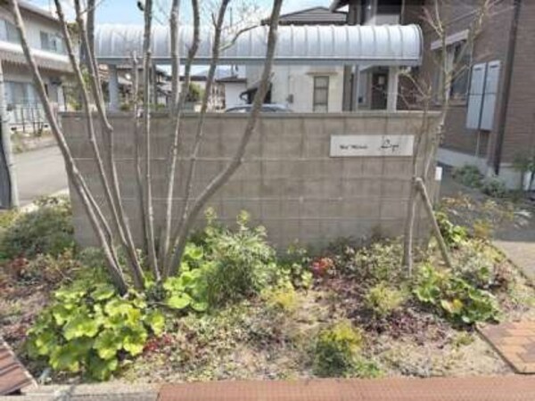 植栽