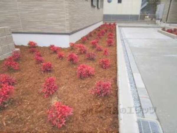 植栽