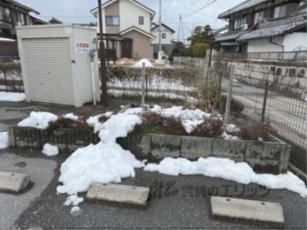植栽