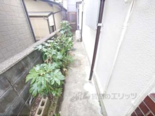 通路