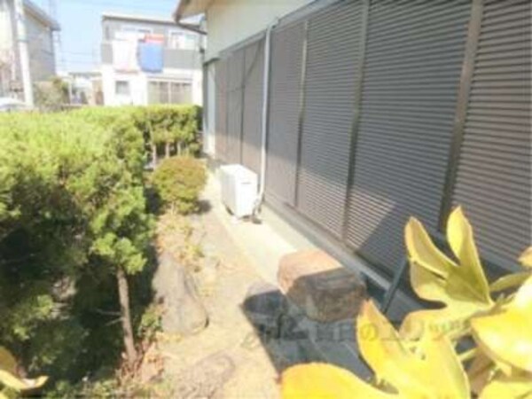 植栽