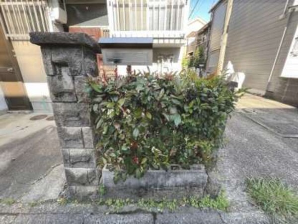 植栽