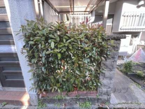 植栽