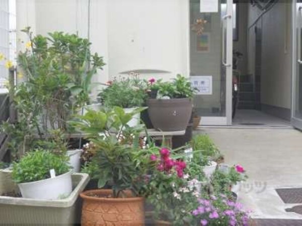 植栽