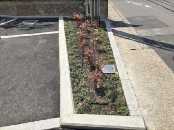 植栽